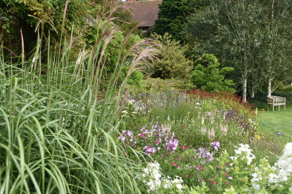 Cottage Planting & Bench