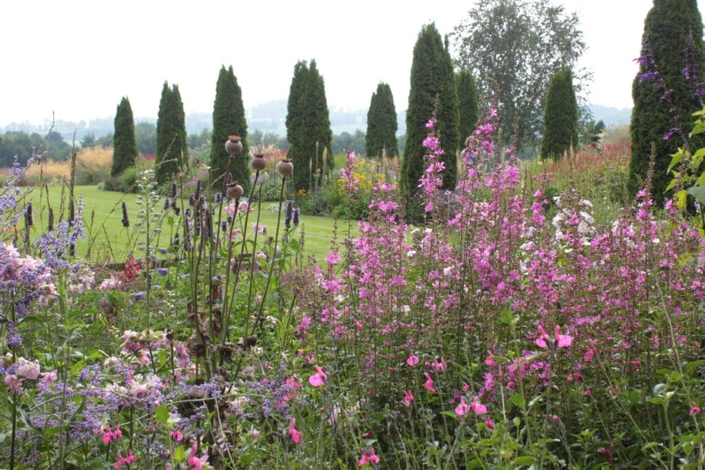Cottage Planting with Cypress