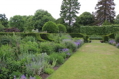 Herbaceous Border