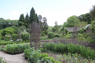 Kitchen Garden