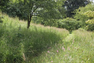 Mown Paths