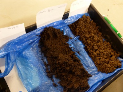 Soil samples