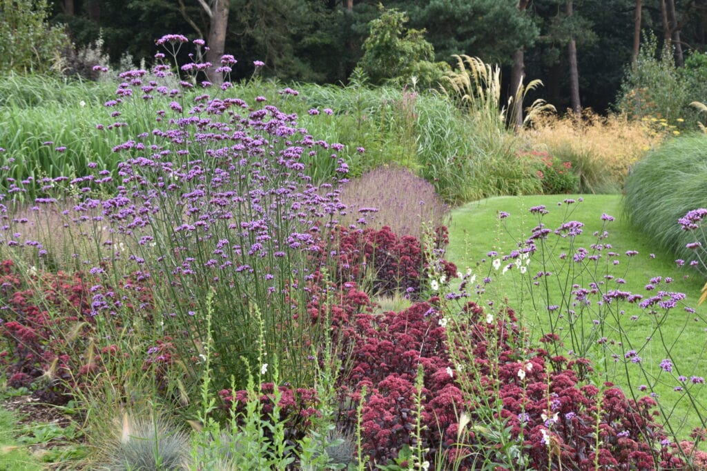 Prairie Planting