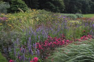 Prairie Planting