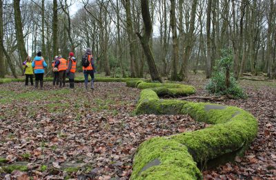 RHS Bridgewater Tour