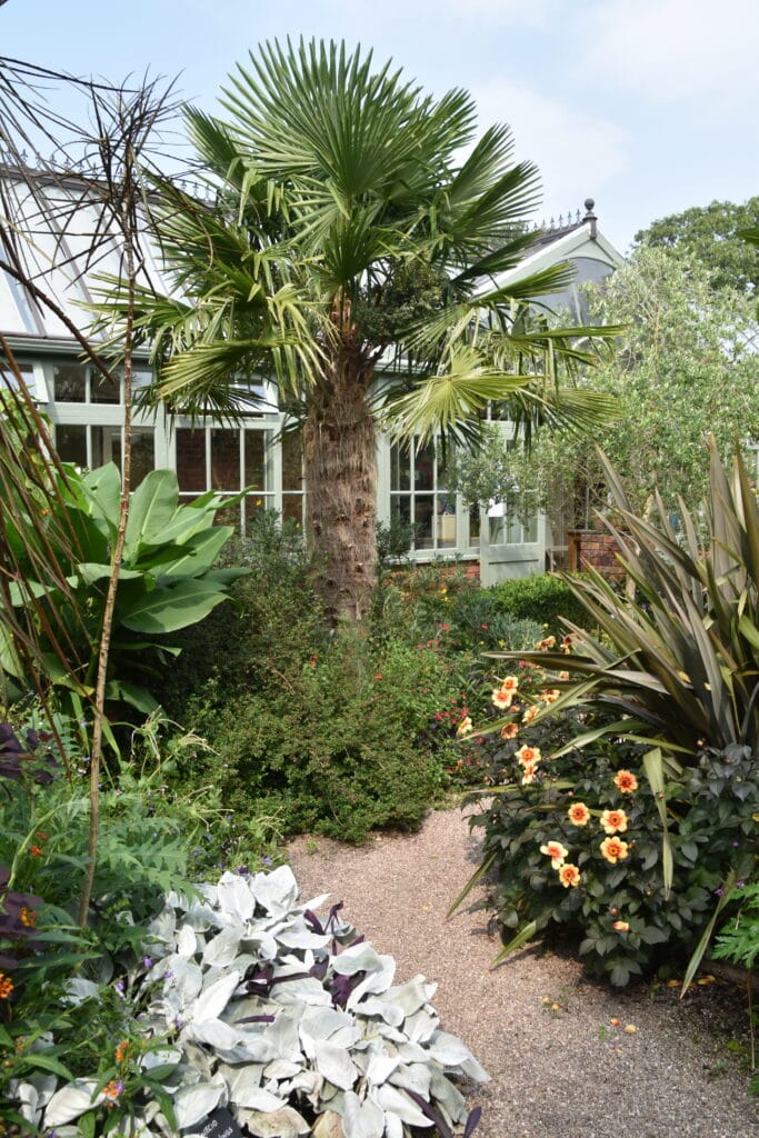 Tropical Planting