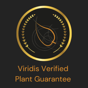 https://thecheshiregarden.co.uk/wp-content/uploads/Viridis-Verified-Logo-300x300.png