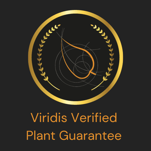 Viridis Verified Logo